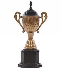 Award Memento Cup