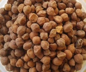 Black Chickpeas