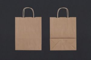 Brown Paper Carry Bag