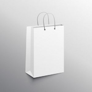 Plain White Paper Bag