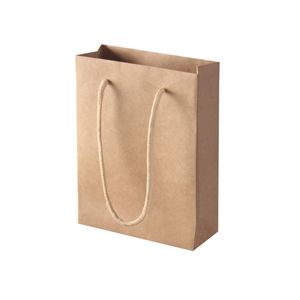 Shopping Paper Carry Bag