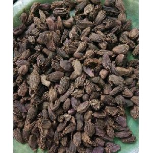 Black Cardamom