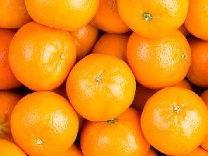 Fresh Orange