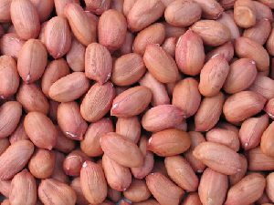 Bold Groundnut Kernels