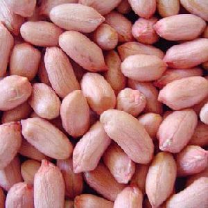 Dried Groundnut Kernels