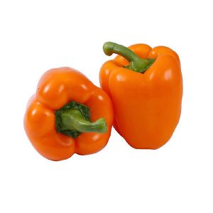 Fresh Orange Capsicum