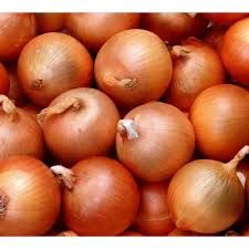 Fresh Organic Onion