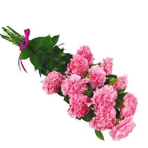 Pink Carnation Flower Bouquet