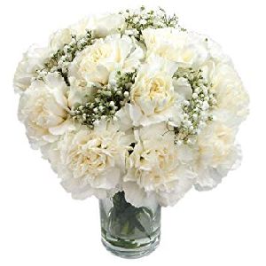White Carnation Flower Bouquet