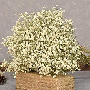 White Gypsophila Flower Bouquet