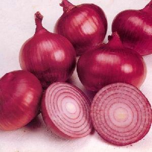 Fresh Onion