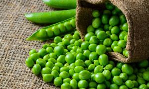 Fresh Green Peas