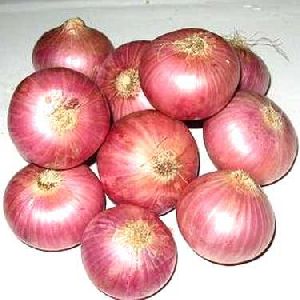 Fresh Red Onion