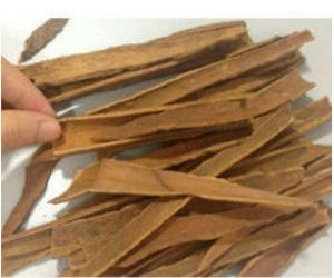 Dalchini (cinnamon)