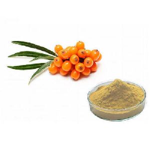 Sea Buckthorn Powder