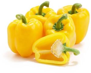 Fresh Yellow Capsicum