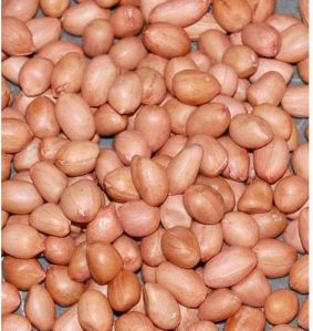 Java Groundnut Kernels