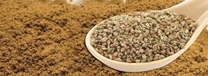 Ajwain Powder