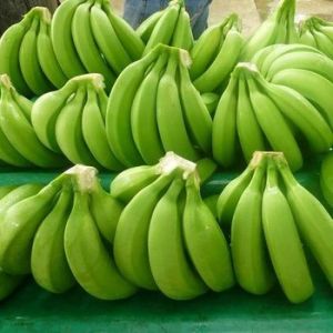 Fresh Green Banana