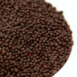 Mustard Seeds