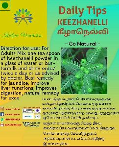 Keezhanelli Powder