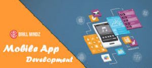 Mobile Application Development