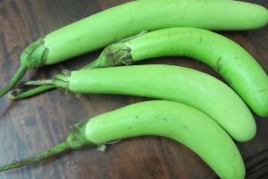 Fresh Green Brinjal