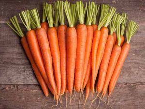 Fresh Natural Carrot