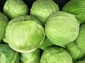 Fresh Organic Cabbage