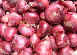 Fresh Red Onion