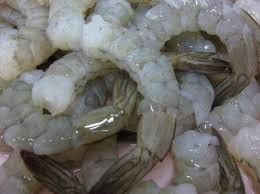 pdto shrimp