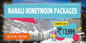 Manali Tour Package