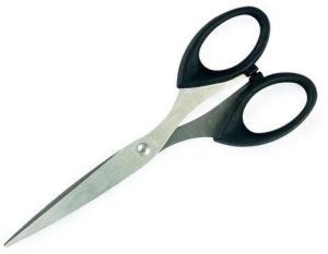 Stainless Steel Cutting Scissor