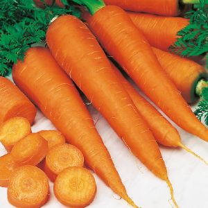 Fresh Carrot