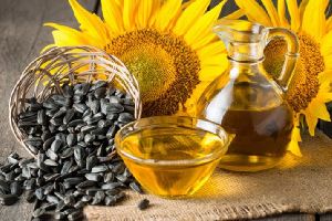 Sunflower Oil