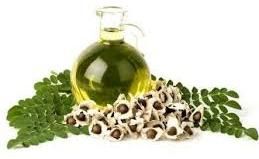 Moringa oil