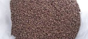 Diammonium Phosphate