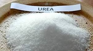 Urea Granules