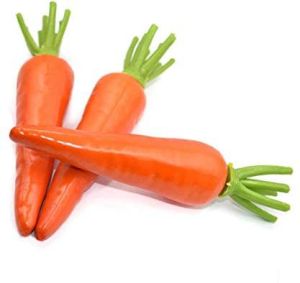 Fresh Orange Carrot