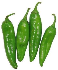 Fresh Organic Green Chilli