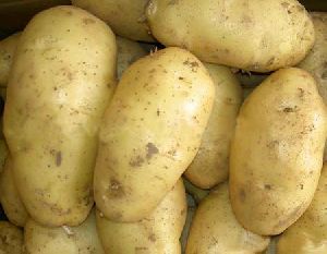 Fresh Organic Potatoes