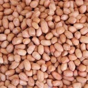 Groundnut Kernels