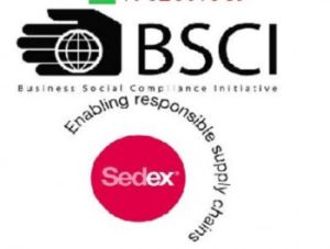 SEDEX, BSCI Certification in Chandigarh.