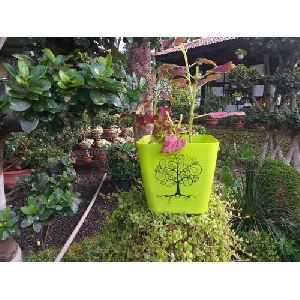 Plastic Garden Planter