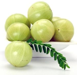 Fresh Amla