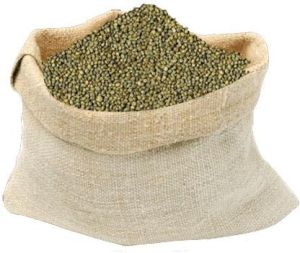 Green Millet Seeds
