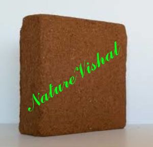 NATURE VISHAL - Coco Peat Blocks - Low EC - 5 KG