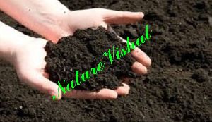 NATURE VISHAL - PhosphateRichOrganicManure (PROM)