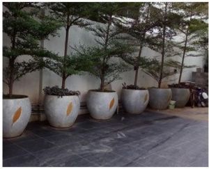 Modern Outdoor Planter