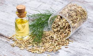 Fennel Oil